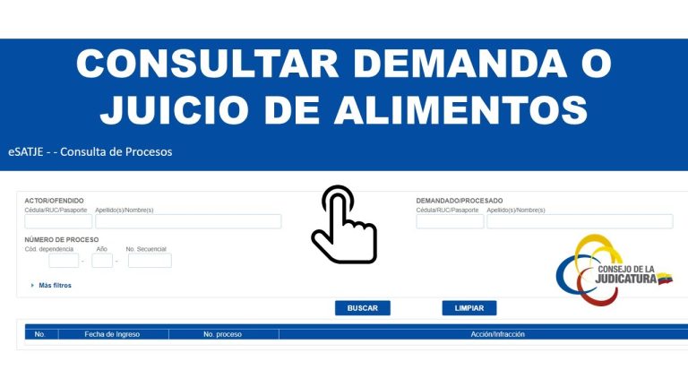¿Cómo saber si tengo una demanda por alimentos en Colombia?