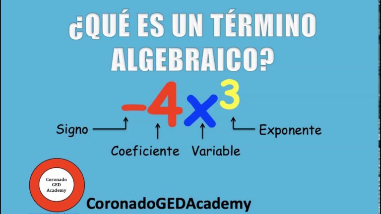 ¿Qué son los términos?